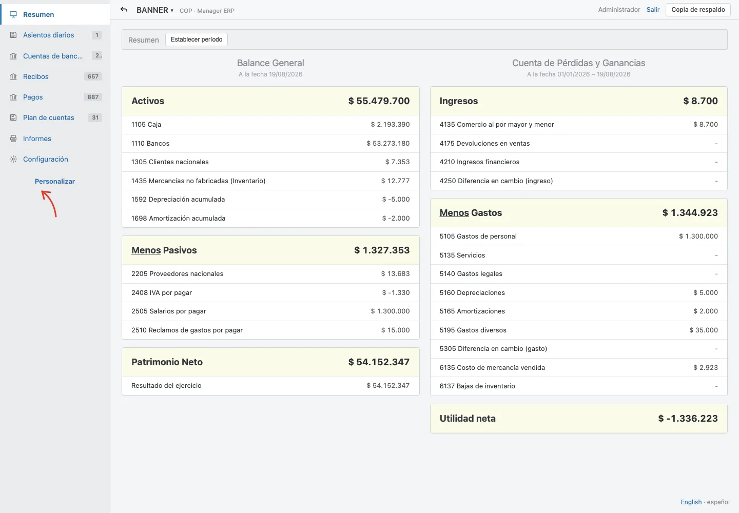 Captura real del resumen contable de Manager con balance general y pérdidas y ganancias